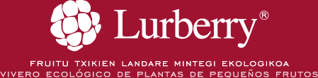 LURBERRY Fruitu txikien landare mintegi ekologikoa